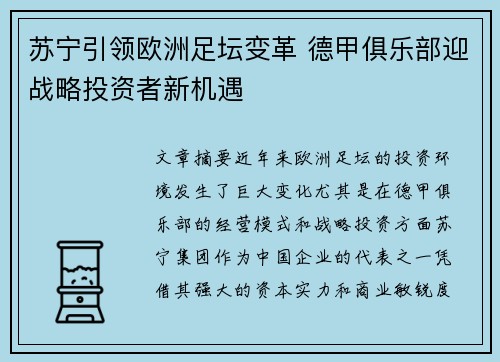 苏宁引领欧洲足坛变革 德甲俱乐部迎战略投资者新机遇
